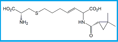 CILASTATIN EP IMPURITY G 